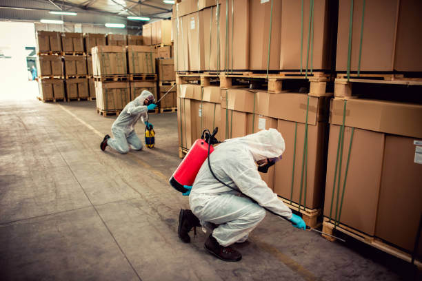 Best Fumigation Services  in Atasdero, CA